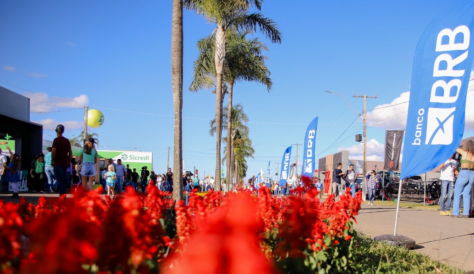 BRB oferecerá pacote de valor especial durante a AgroBrasília 2024