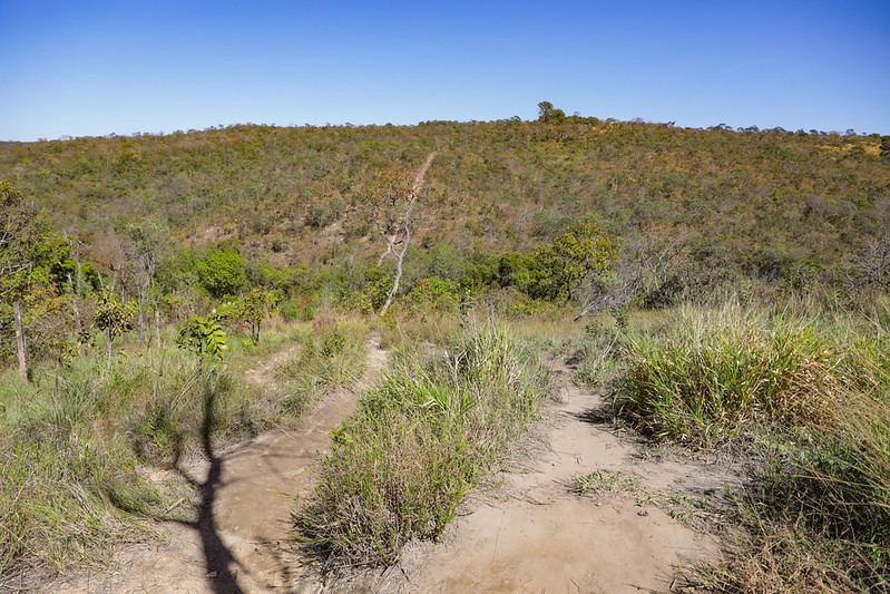 Fórum Integrado promove conscientização sobre a proteção do Cerrado