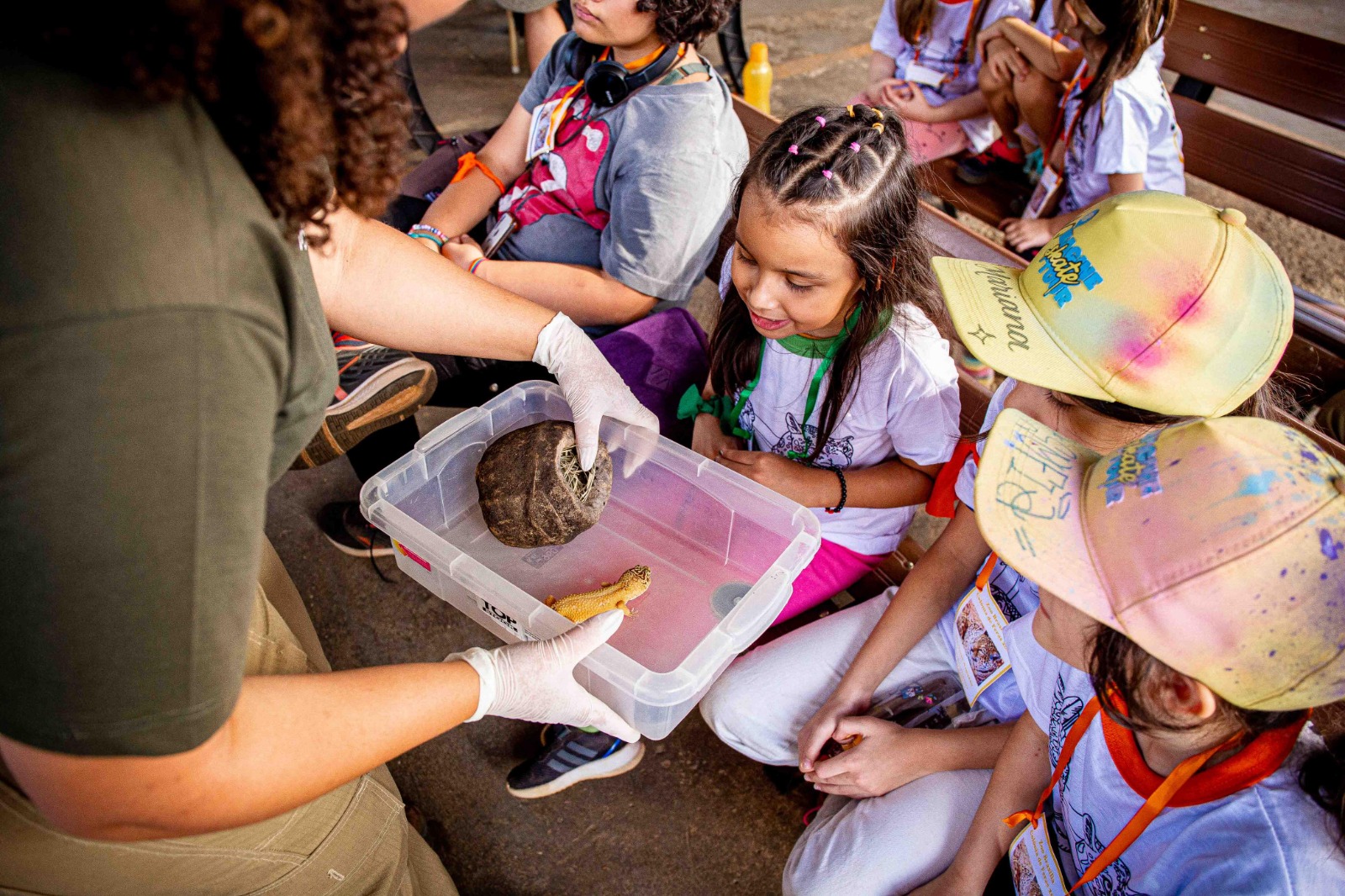 Zoo de Brasília suspende Festa Julina para ampliar Colônia de Feras