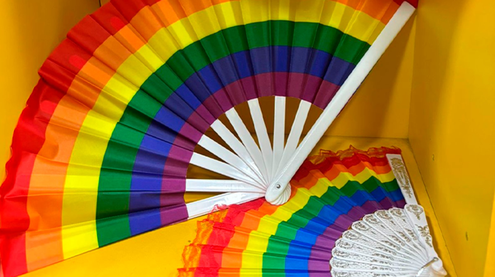 Conferência Distrital dos Direitos das Pessoas LGBTQIA+ será realizada em 2025