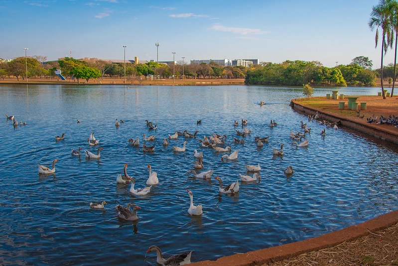 Lagoa dos Patos, no Parque da Cidade, passará por limpeza no sábado (20)