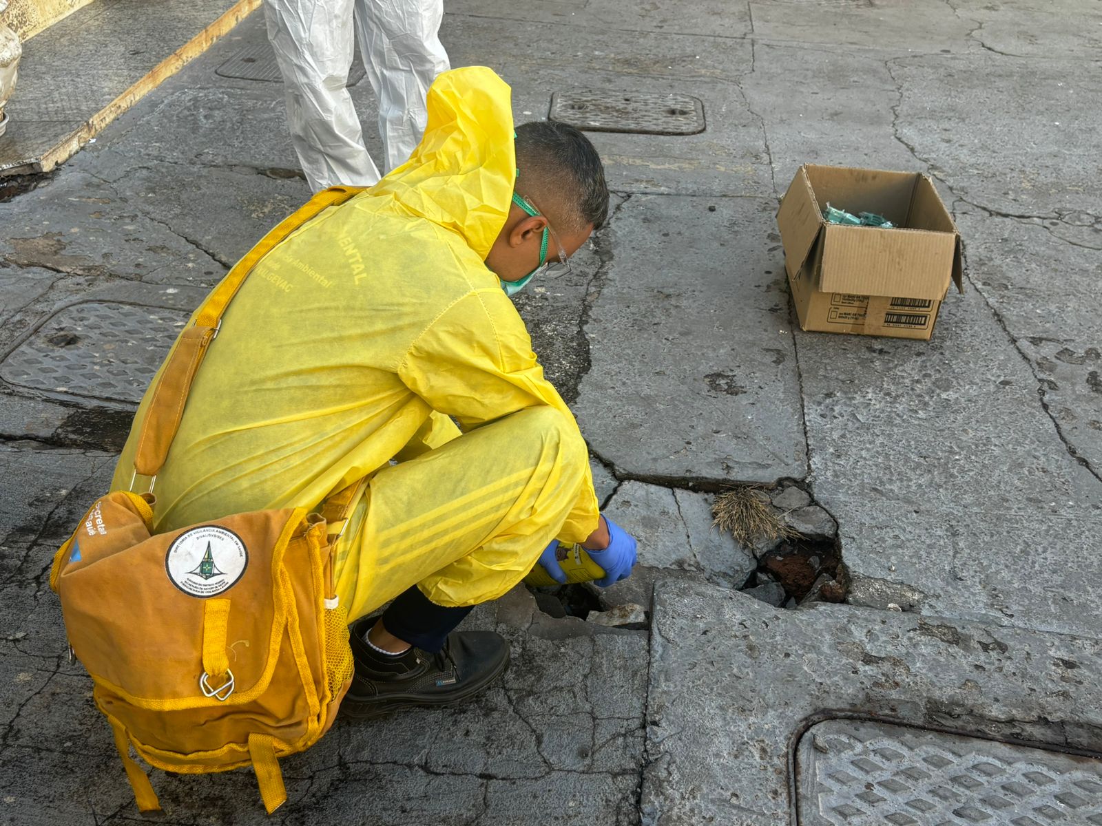 Quadras comerciais da Asa Norte passam por desratização