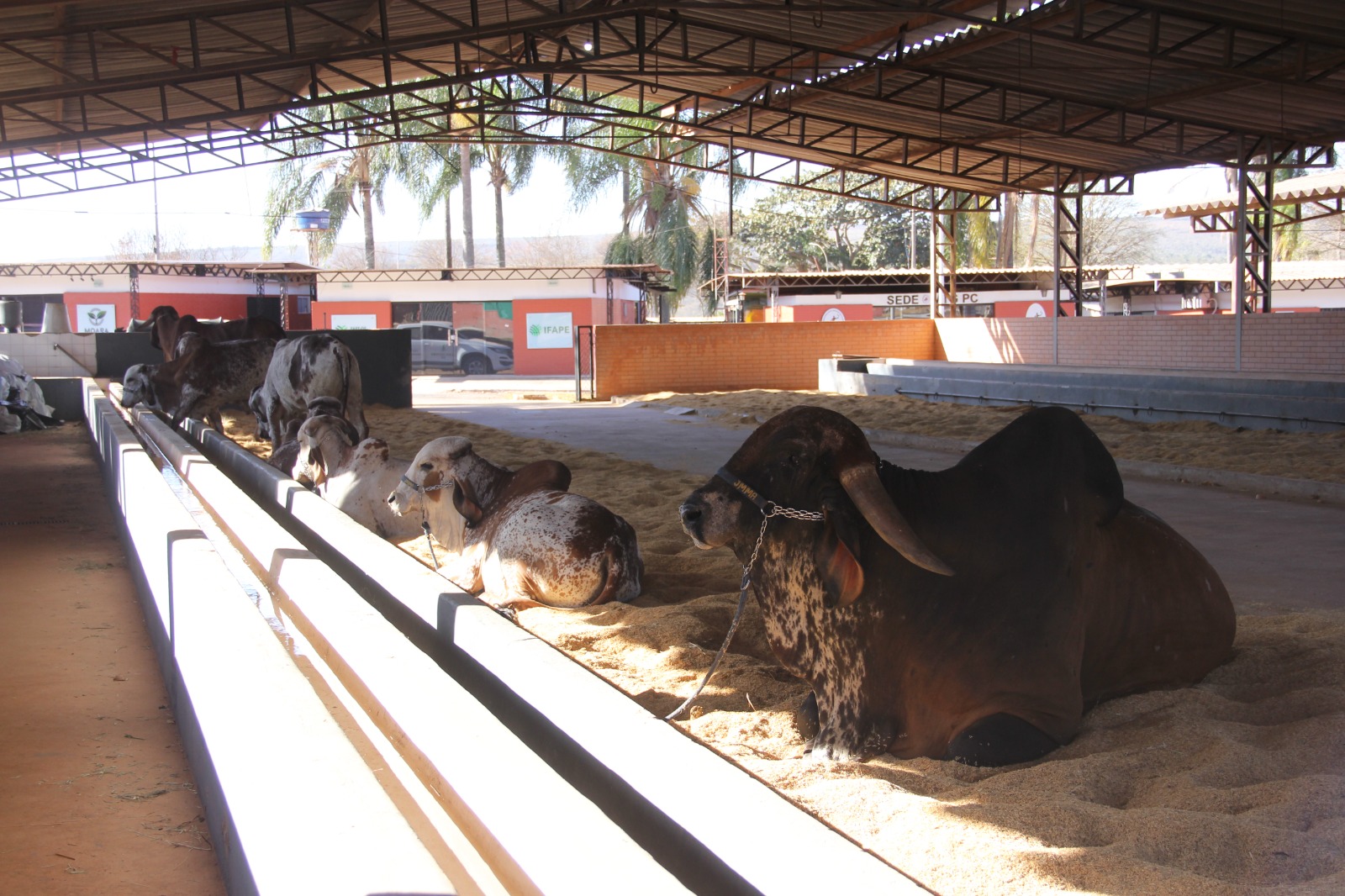 Plano plurianual traz metas para preservação ambiental e apoio à produção agrícola