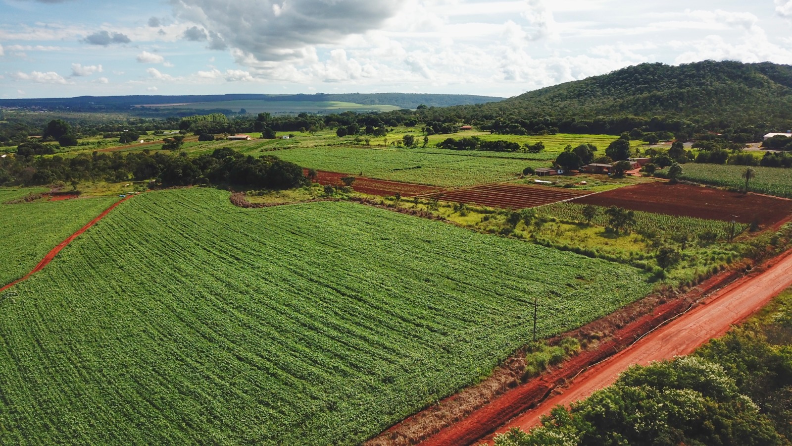 Projetos no Descoberto e no Pipiripau incentivam educação ambiental com plantio de mudas do Cerrado