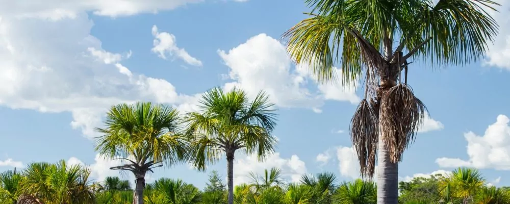 Empresa de Regularização de Terras Rurais lança o primeiro edital de CDU em 2025