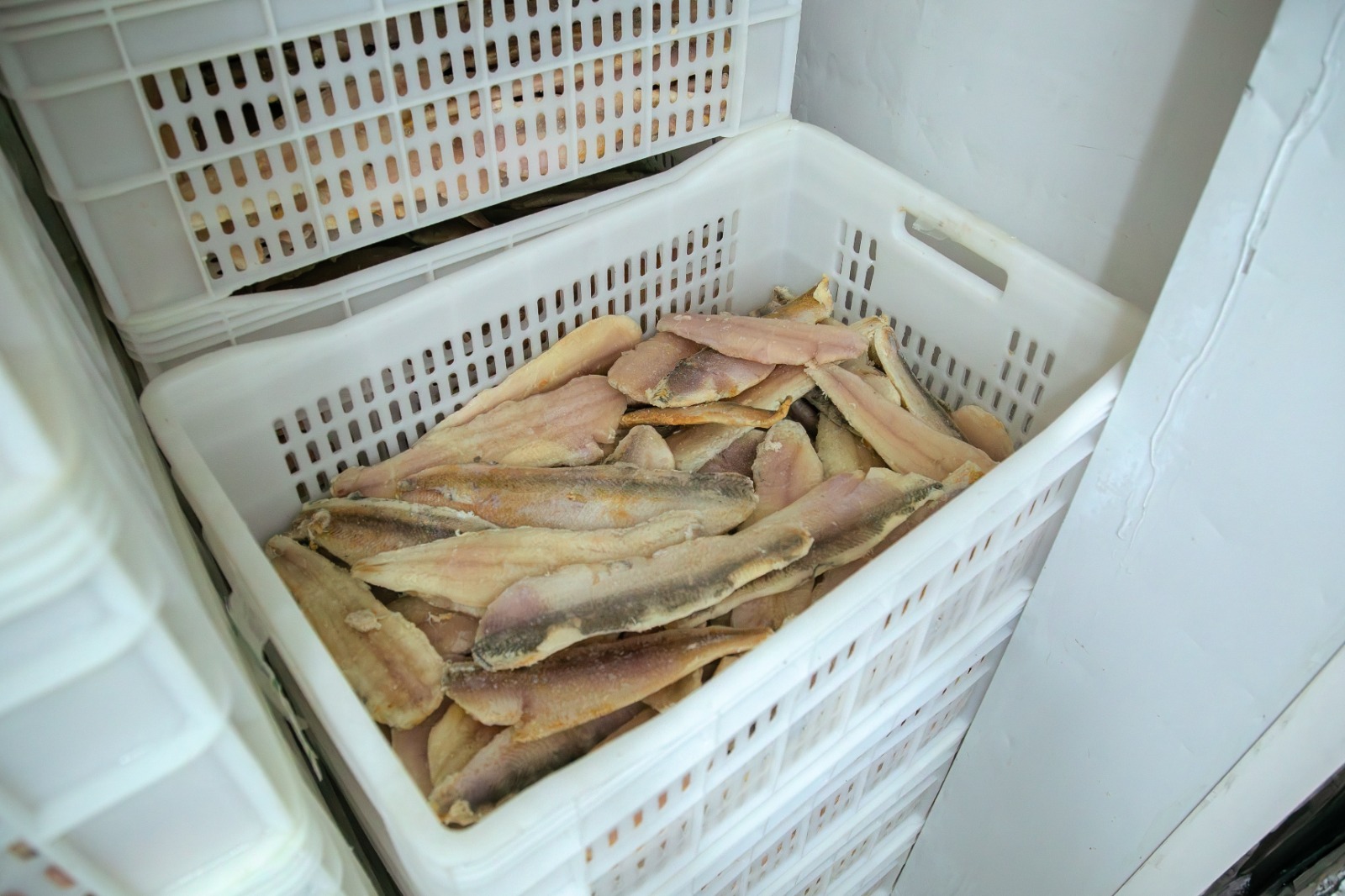 Operação verifica origem e condições de pescados comercializados no DF