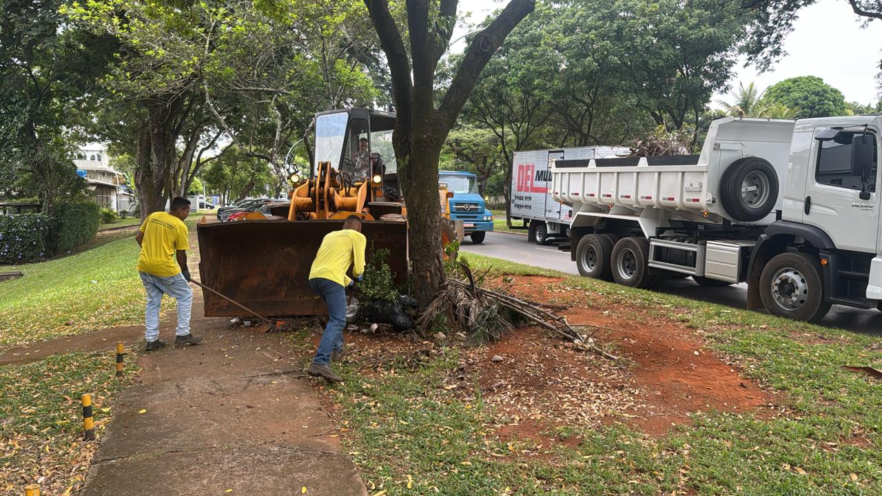 Plano Piloto passa por ações de limpeza e manutenção