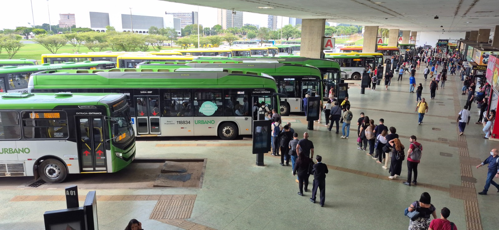 Feriado terá linhas especiais e transporte público gratuito; veja como fica