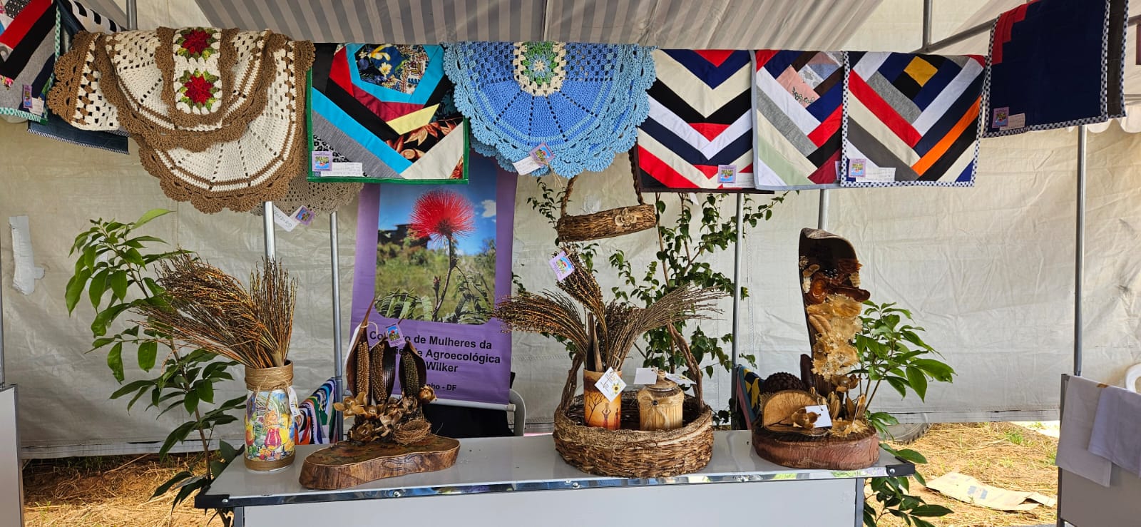 Estande na AgroBrasília 2025 incentiva participação feminina no agronegócio