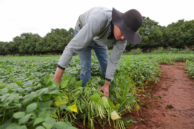 GDF abre edital para assentamento de famílias rurais no Gama