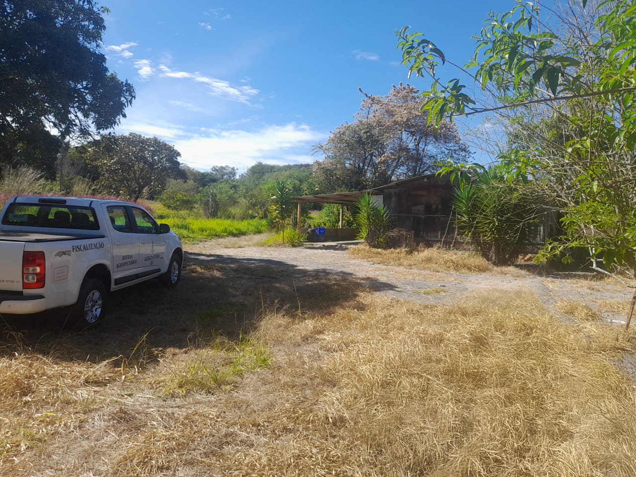 Vigilância de aves após interdição temporária do Zoológico de Brasília é intensificada