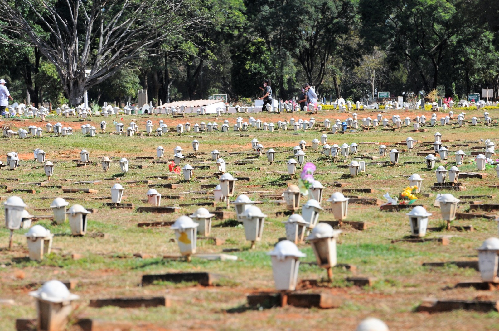 Famílias do DF podem solicitar auxílio por morte em unidades de assistência social
