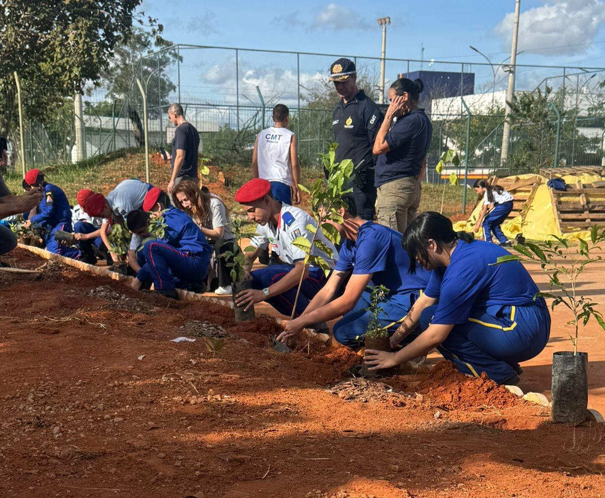 Estudantes comemoram Dia Mundial do Meio Ambiente plantando mudas