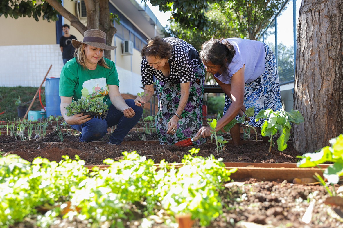 Hortoterapia vira ferramenta de cuidado e inclusão no Centro de Convivência do Idoso de Santa Maria