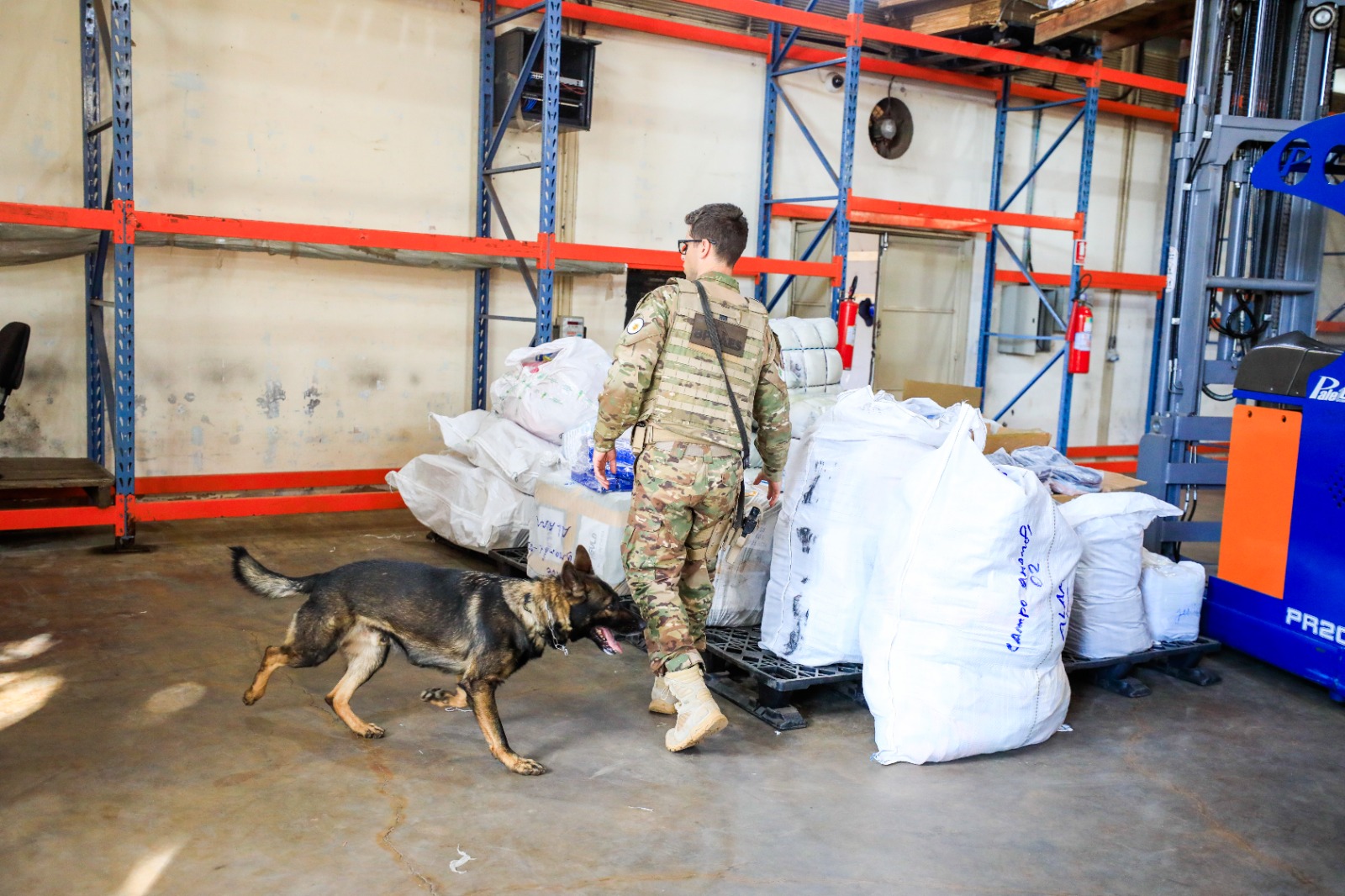 De energéticos a acessórios eróticos: GDF apreende mercadorias sem nota