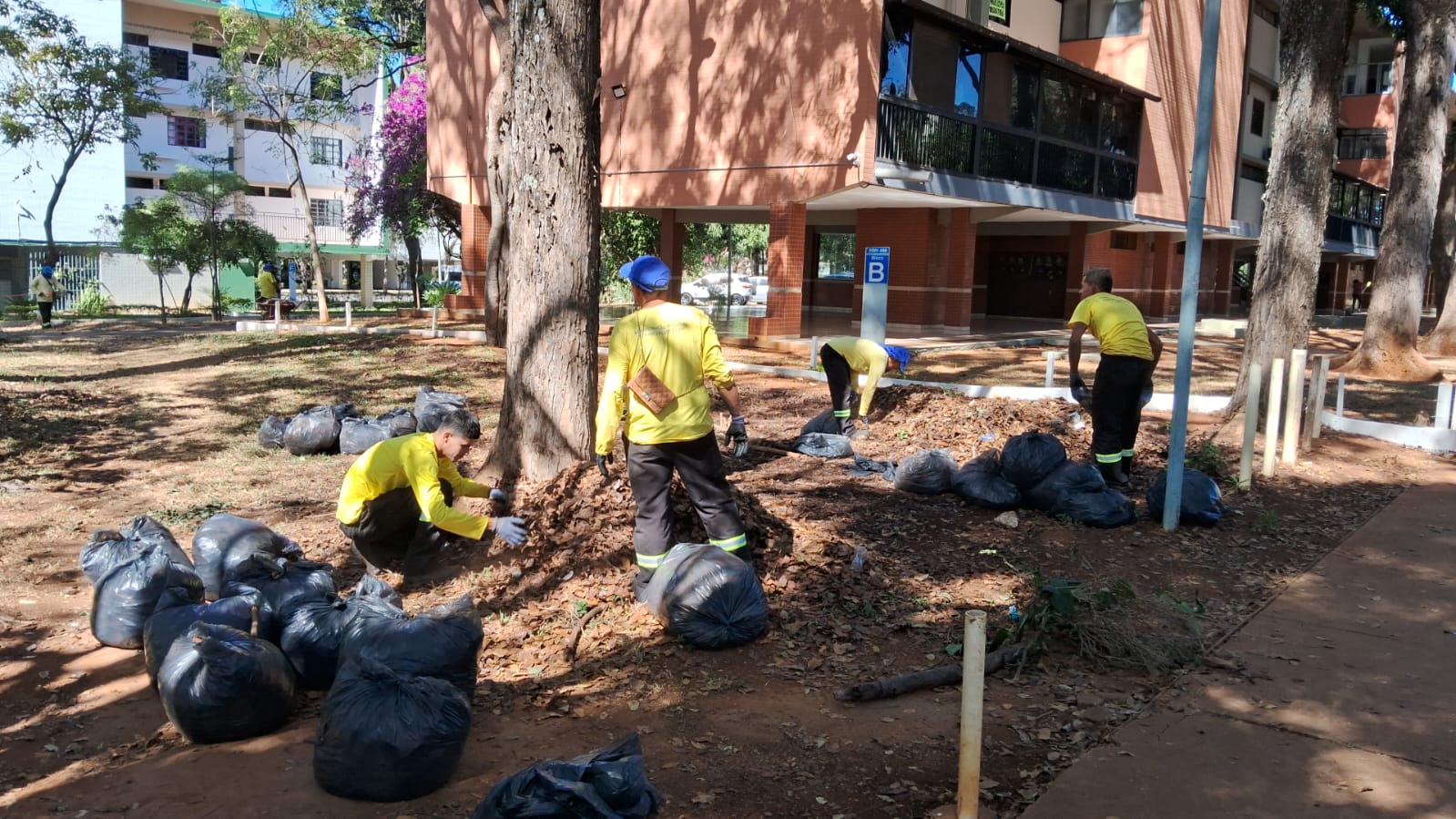 Mutirão de limpeza e de manutenção transforma espaços públicos do Plano Piloto