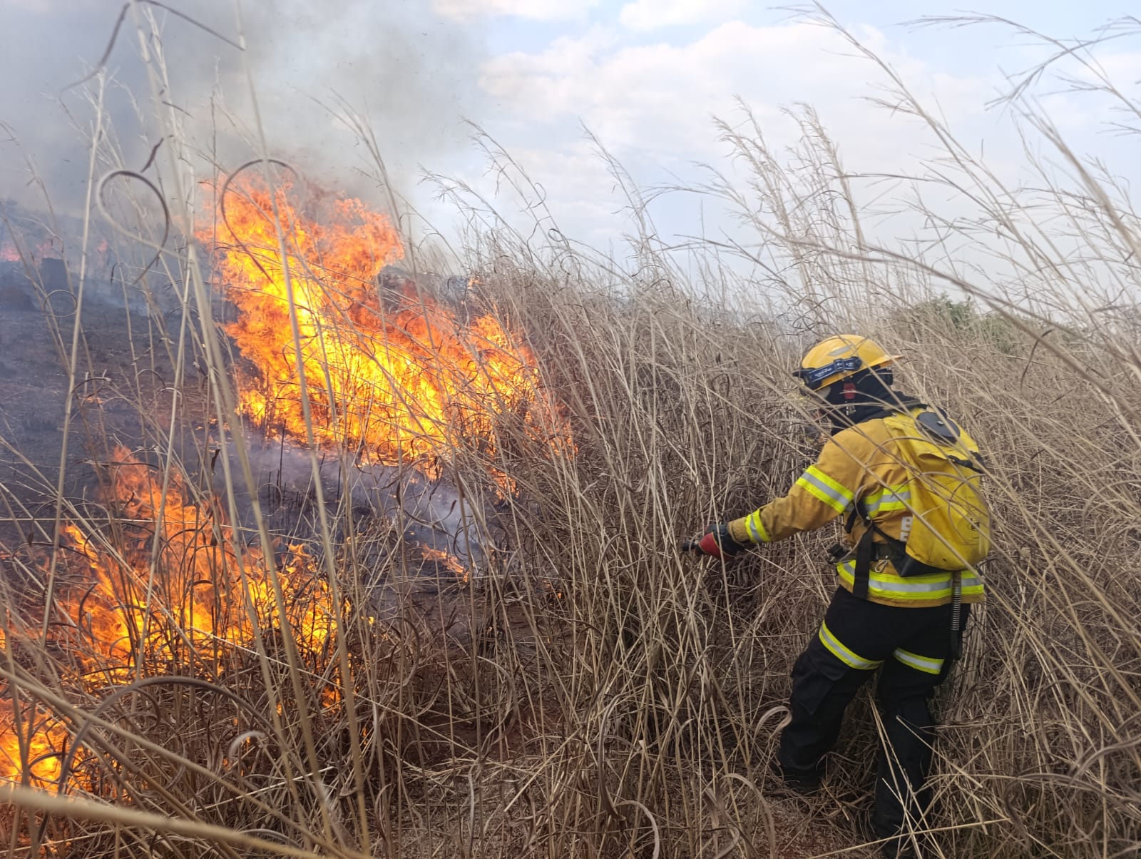 Fazenda Água Limpa da UnB receberá simulação de incêndios florestais