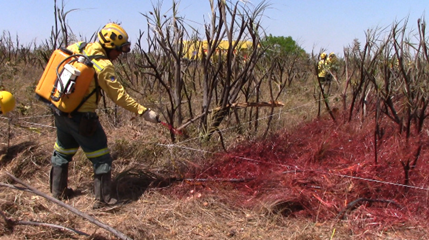 Pesquisa apoiada pela FAPDF analisa efeitos do combate químico a incêndios florestais