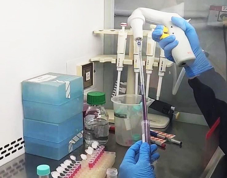 Câncer de mama: com apoio da FAPDF, pesquisa investiga novos caminhos para conter a metástase