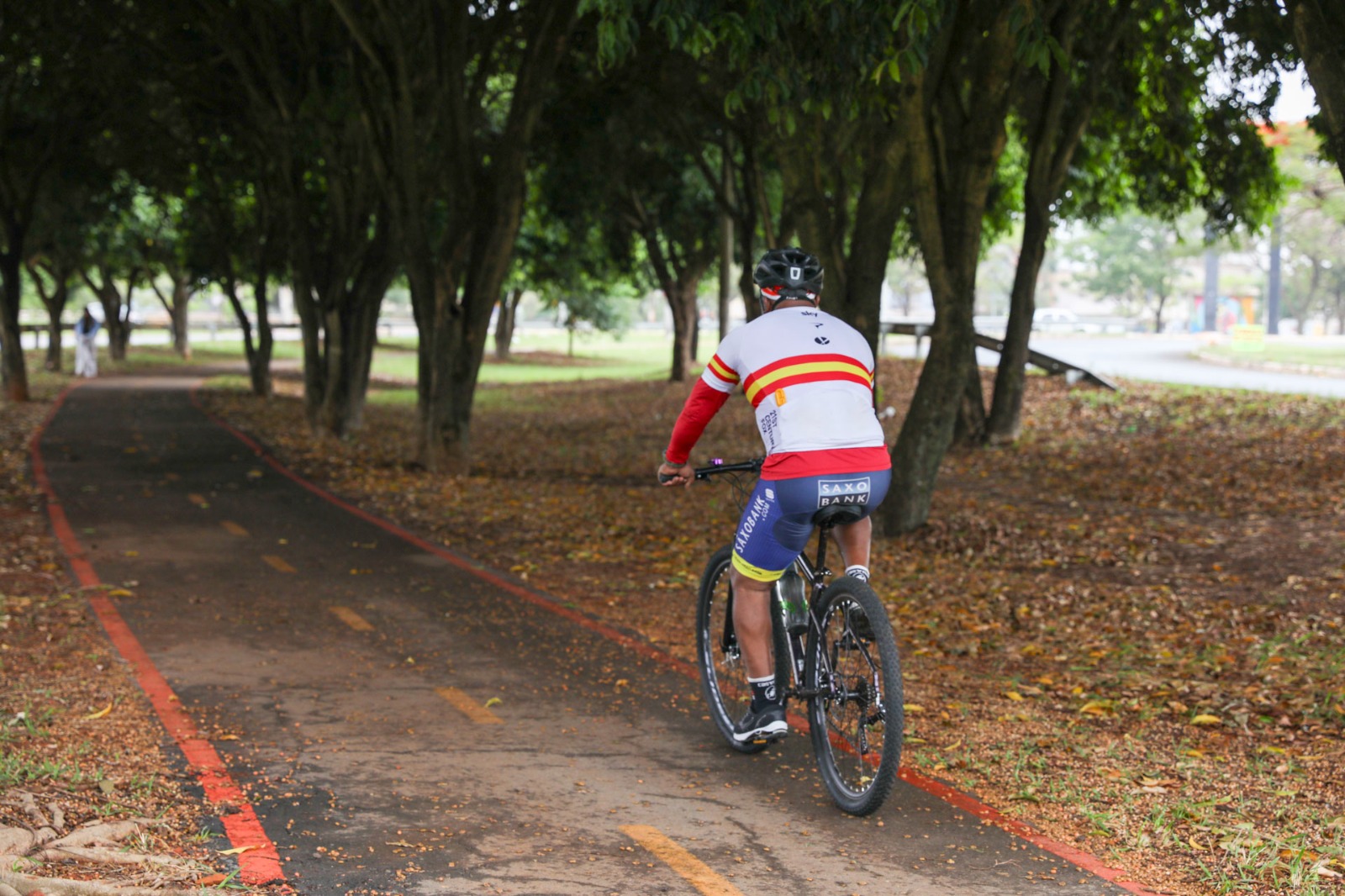 Cinco anos após a inauguração, ciclovia entre Gama e Santa Maria é referência de mobilidade na região