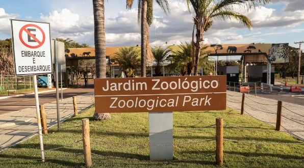 Zoológico de Brasília vive ano histórico em 2025
