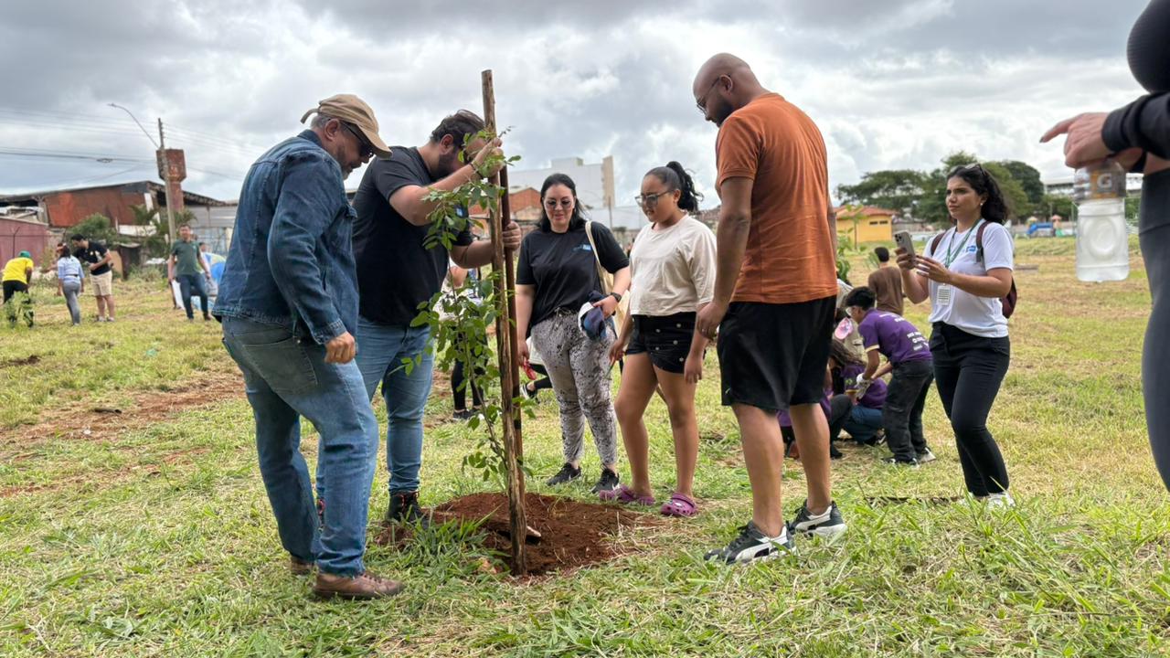 Distrito Federal planta 15 mil mudas nativas do Cerrado em ação integrada neste domingo