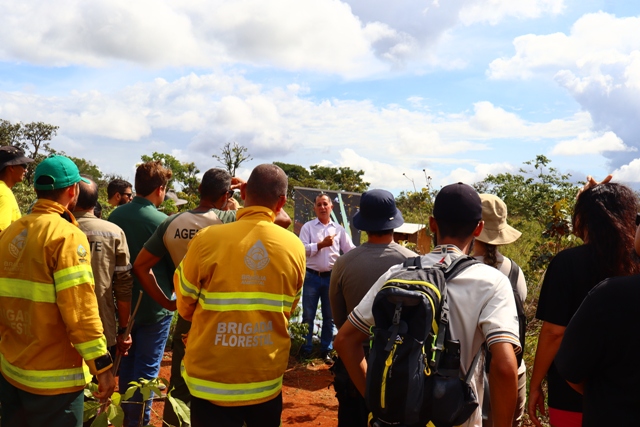 Trilha de abelhas nativas do Cerrado é lançada