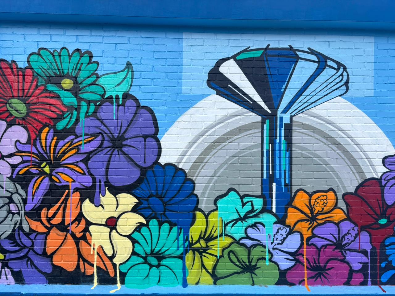 Arte do grafite transforma espaços públicos de Ceilândia e cidade ganha monumentos interativos