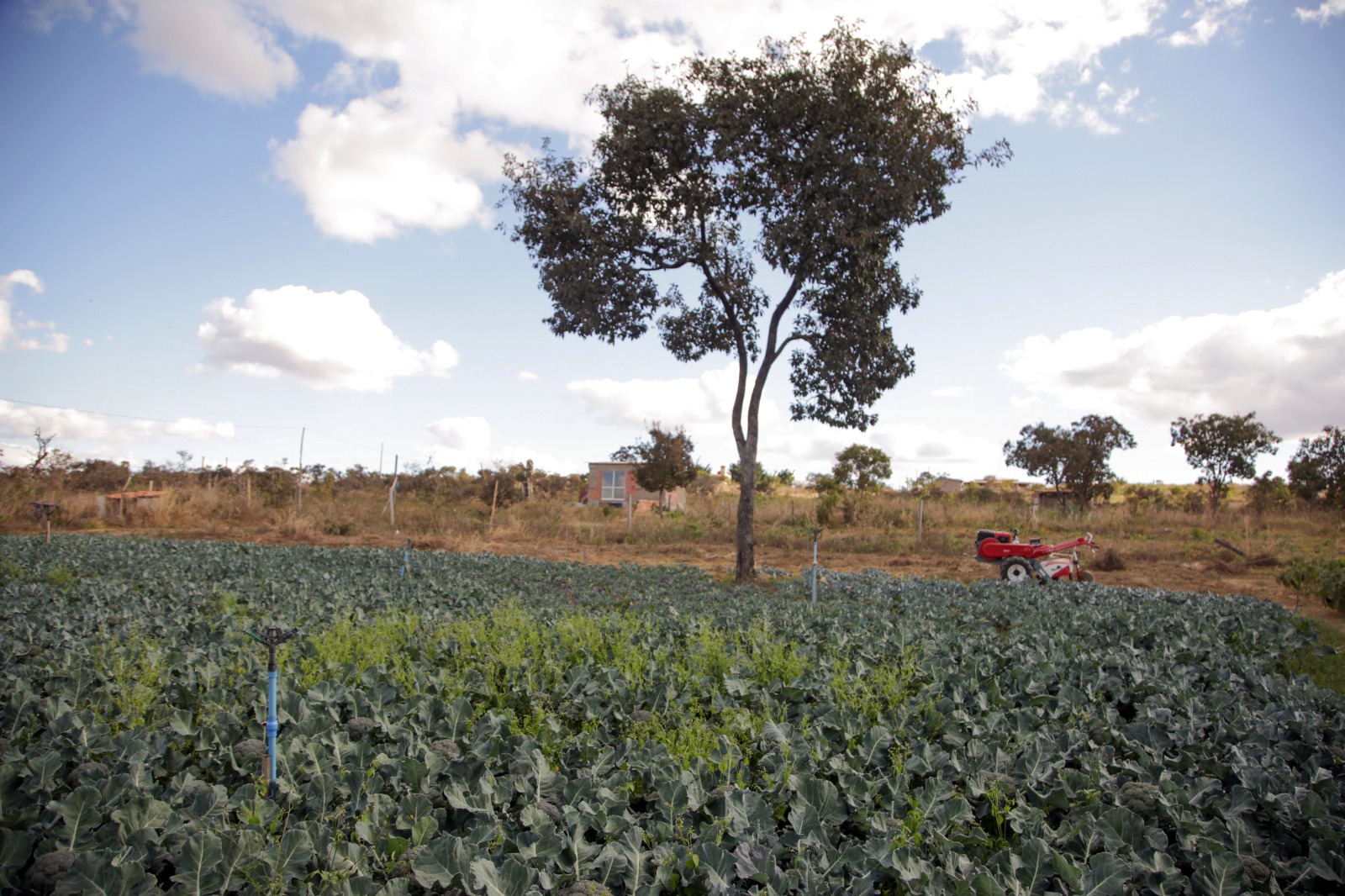 GDF anuncia mudanças no Fundo de Desenvolvimento Rural durante a AgroBrasília&nbsp;