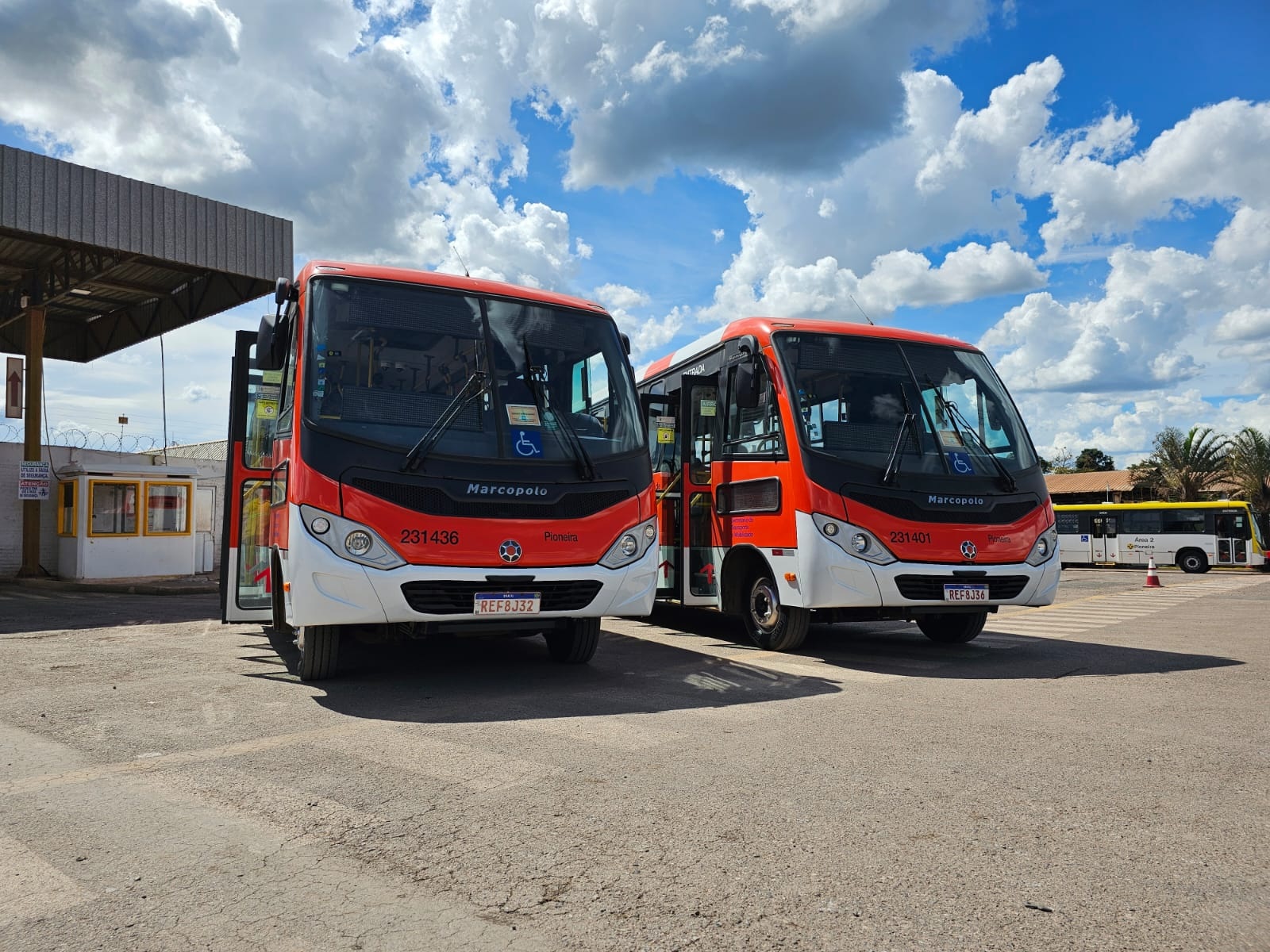 Zebrinha chega ao Park Way com três linhas circulares
