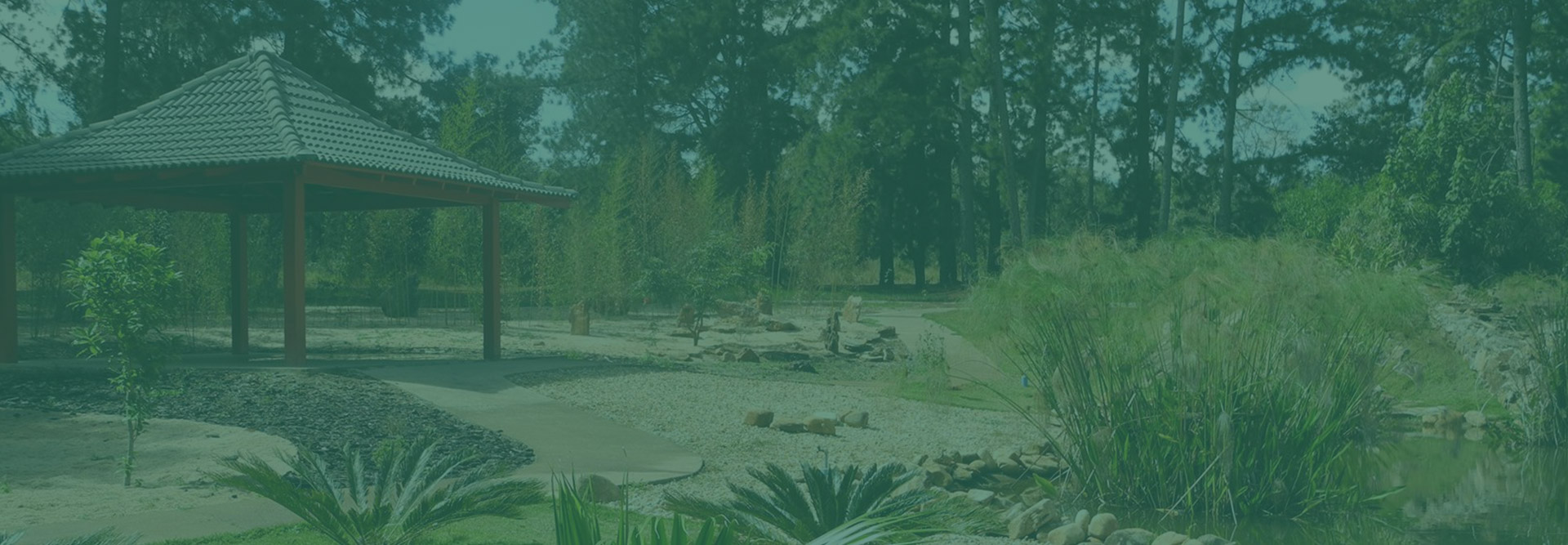 Banner interno do site