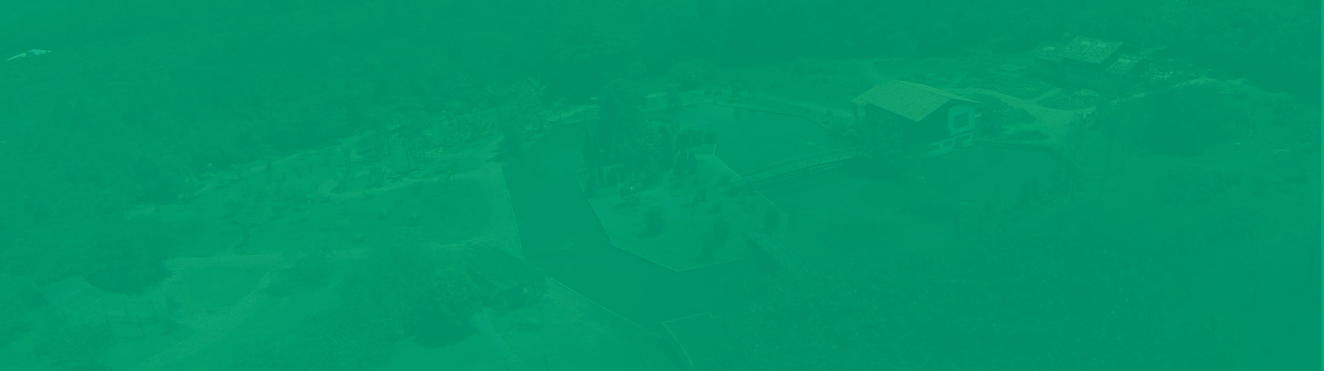 Background footer