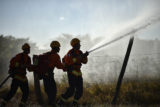 De janeiro a agosto, o fogo atingiu 126,7195 quilômetros quadrados (km²) do Cerrado brasiliense.