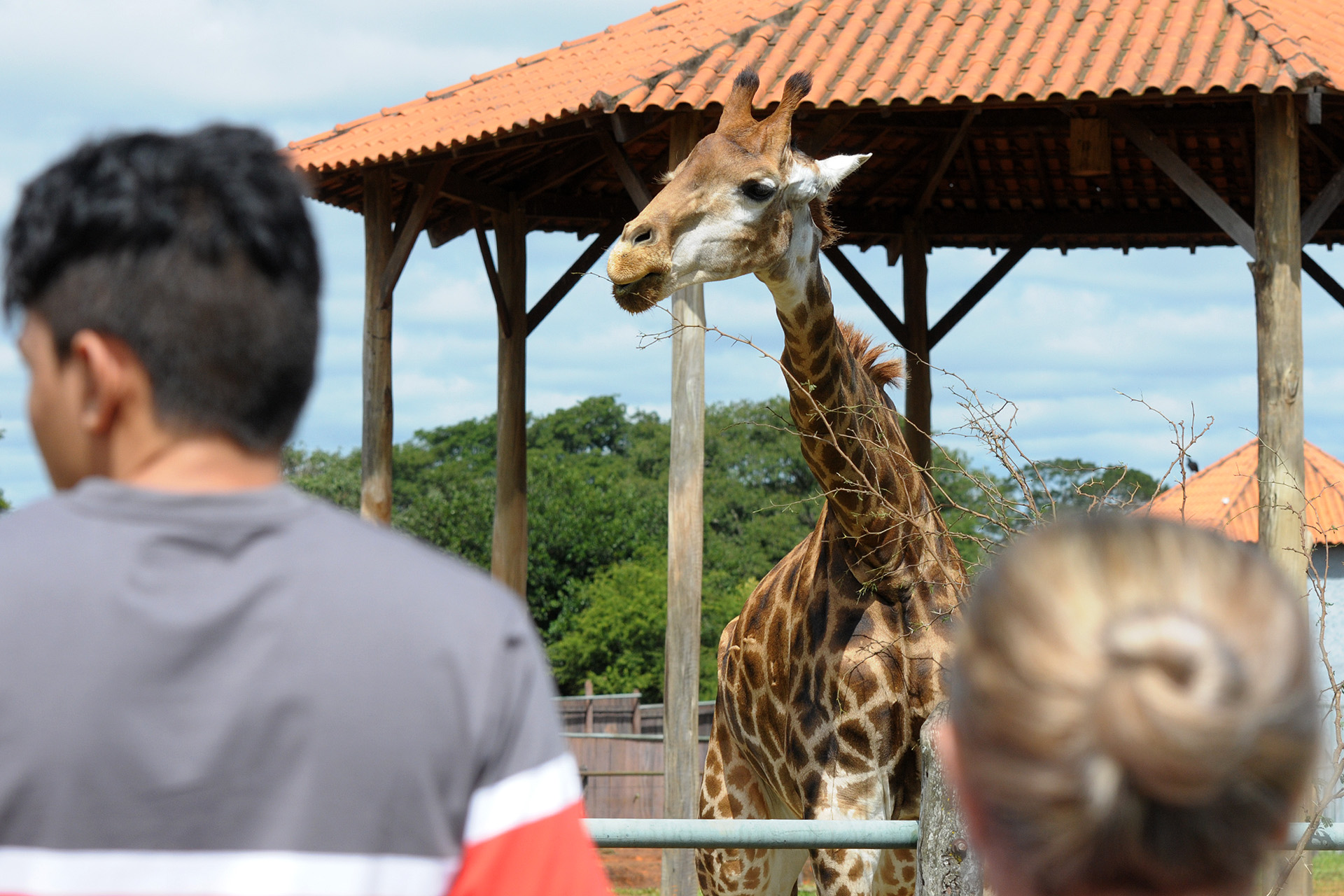 O Zoológico de Brasília funciona nesta quarta-feira (12) das 9h às 17h.
