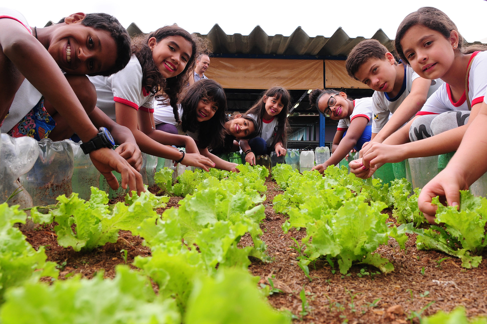 Os alunos desenvolvem um projeto de sustentabilidade dividido em cinco frentes, uma delas é a horta escolar.