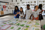 Com 404 alunos, a Escola Classe Jardim Botânico, dentro do Jardim Botânico de Brasília, inclui educação ambiental na rotina dos alunos