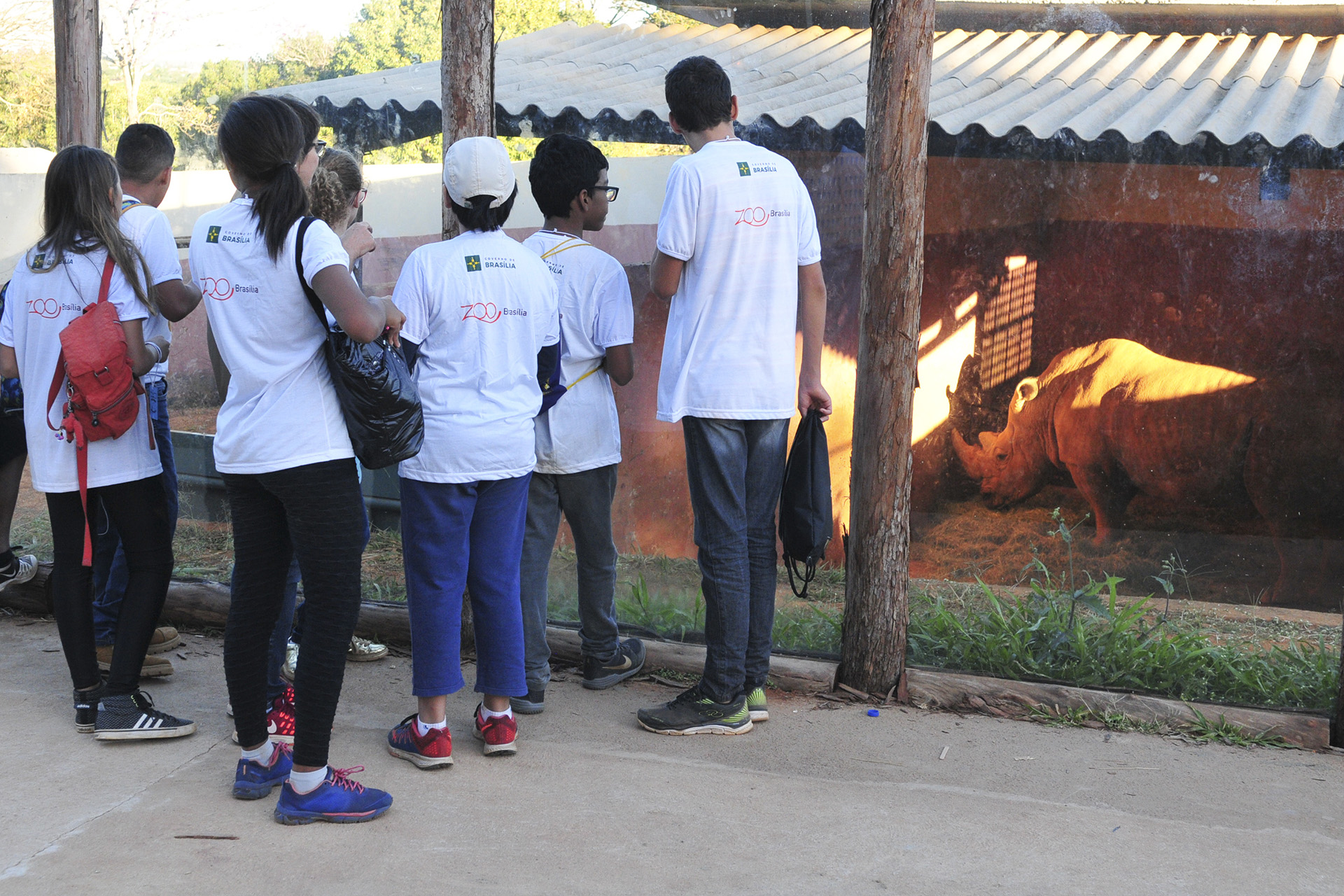 Crianças que participam da Colônia de Férias da Fundação Jardim Zoológico de Brasília visitaram recintos de vários animais, como o do rinoceronte