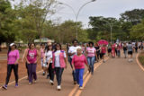 Caminhada no Parque da Cidade reuniu cerca de 250 pessoas para encerrar a campanha Outubro Rosa. Foto: Tony Winston/Agência Brasília