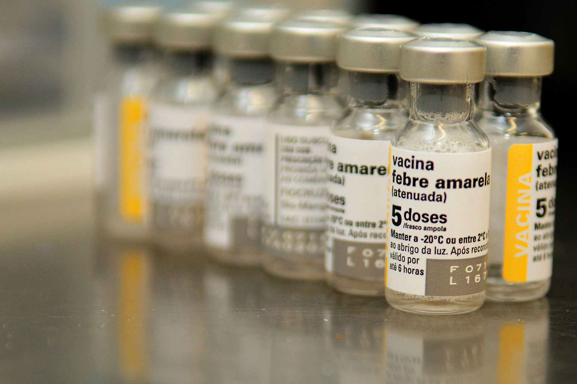 Vacinas contra febre amarela.