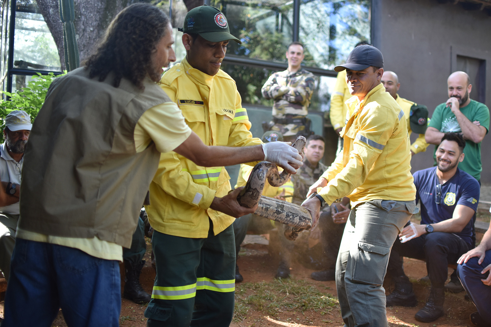 Integrantes do Plano de Prevenção de Combate a Incêndios Florestais fazem, até esta quarta-feira (20), curso sobre manejo de animais silvestres em caso de queimadas.