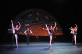 Primeira companhia de balé profissional do DF estréia com espetáculo Carmen