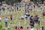 Mais de 490 mil pessoas passaram pelos cemitérios do Distrito Federal nesta sexta-feira (2), Dia de Finados. As unidades ficaram abertas das 7 às 19 horas. Maior parte dos visitantes esteve na unidade de Taguatinga, que alcançou público de 240 mil pessoas.