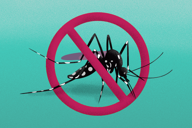 arte mosquito da dengue