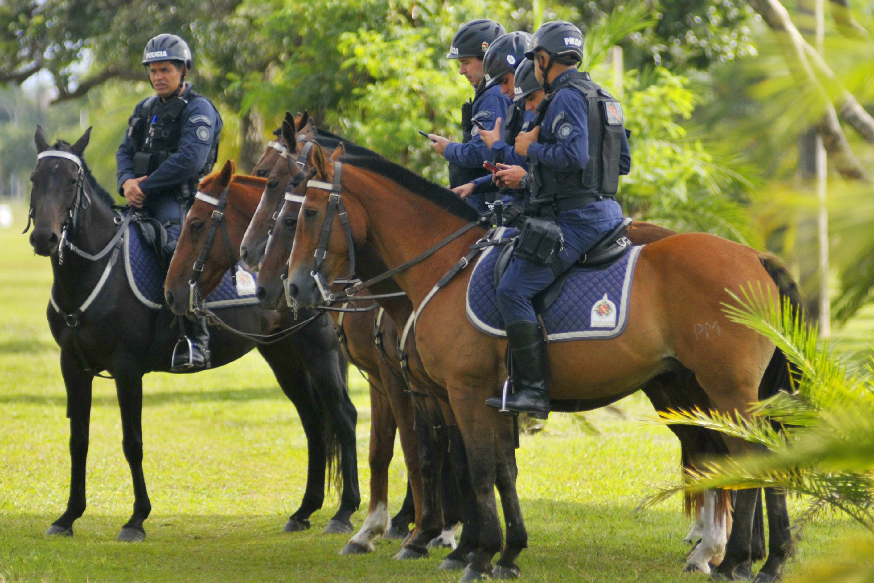 Cavalaria da PM inaugura pista Centauro de Maneabilidade a Cavalo - SSP