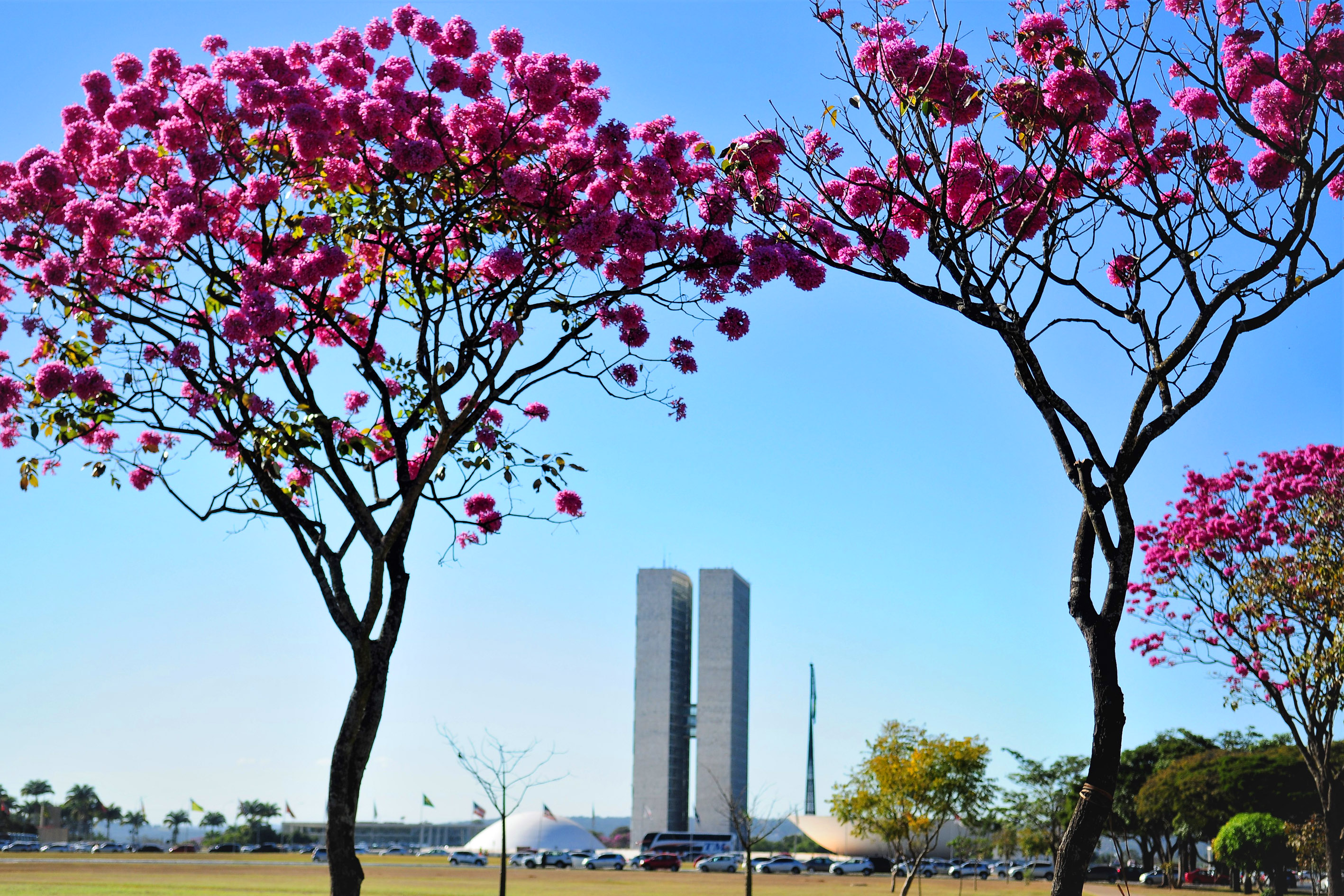 Agência Brasília