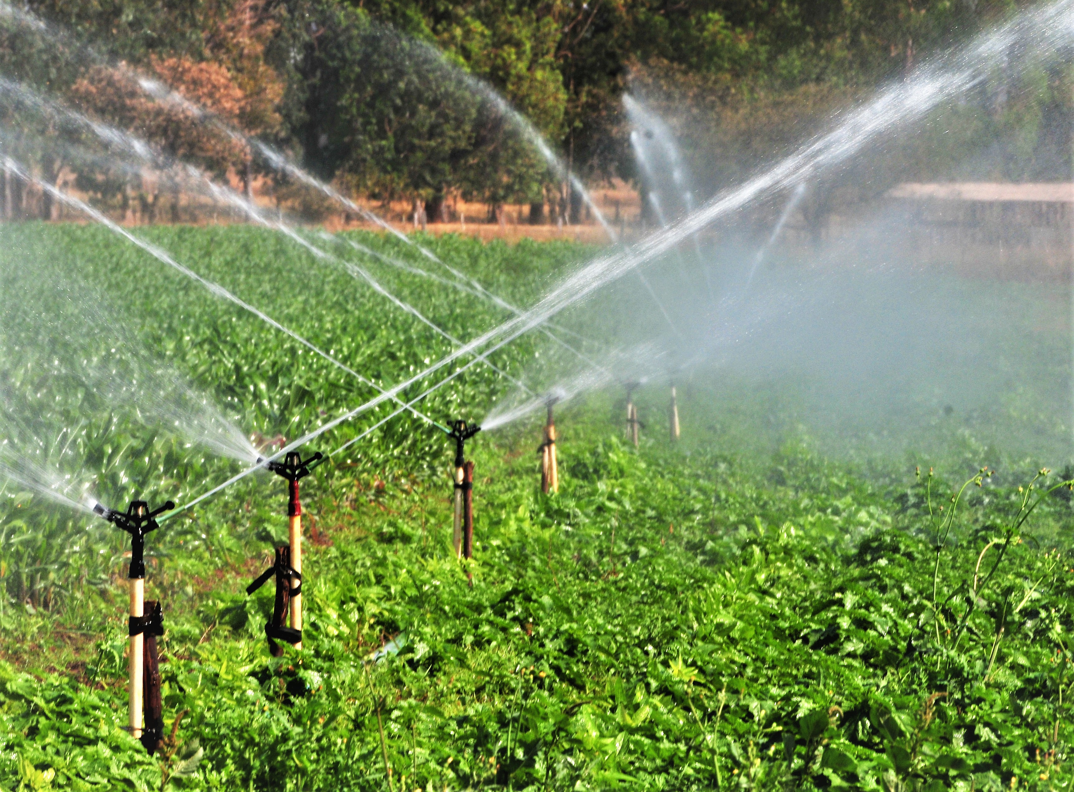 canais de irrigação antigos