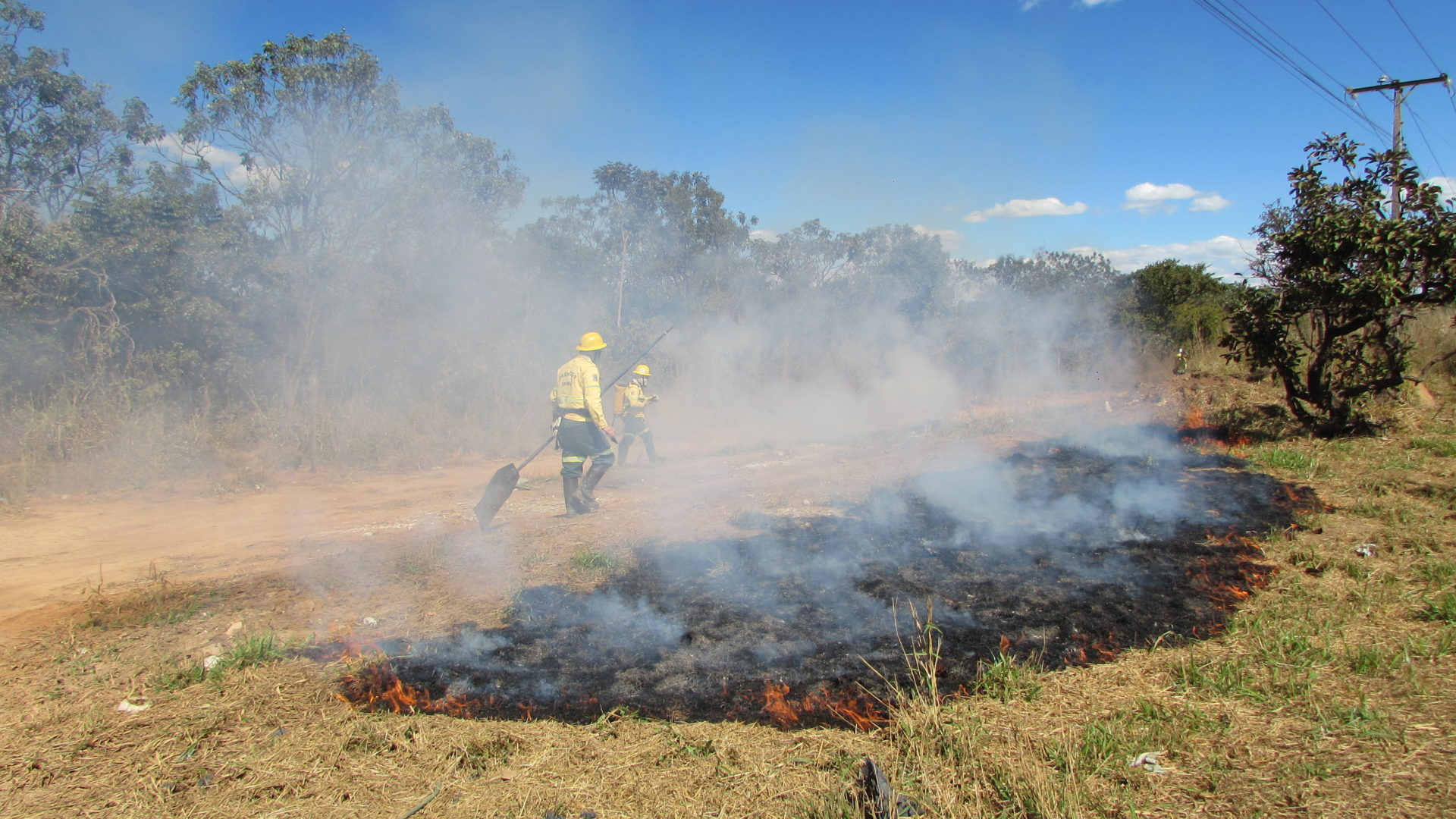 Foto: Brasília Ambiental