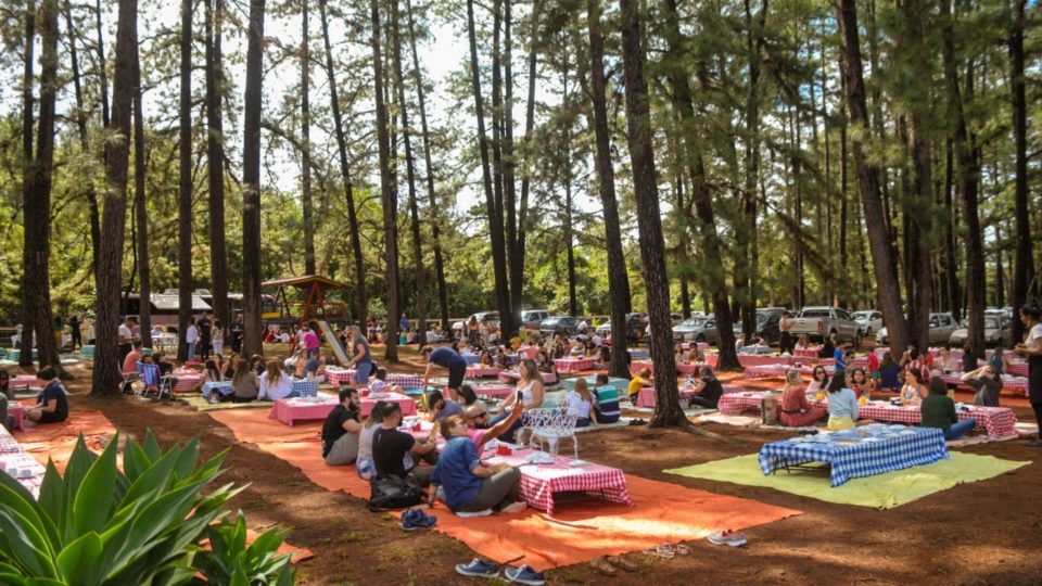 Jardim Botânico ganhará restaurante e loja de presentes - Agência Brasília