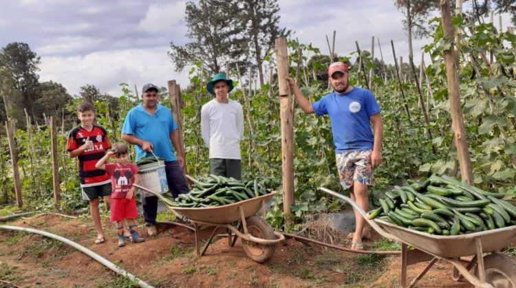 Foto: Emater-DF/Divulgação