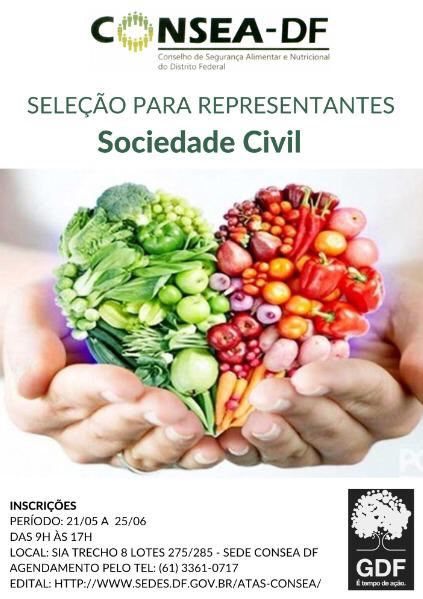 Consea cria jogo sobre comida de verdade — Conselho Nacional de Segurança  Alimentar e Nutricional